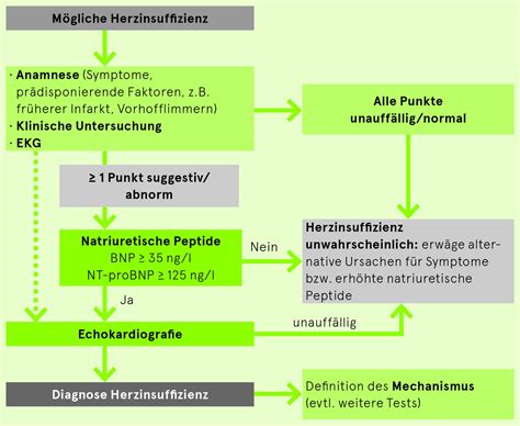 Herzinsuffizienz Kardiovaskul Res Manual