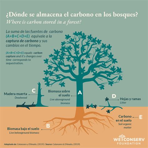 Recursos WeConserv