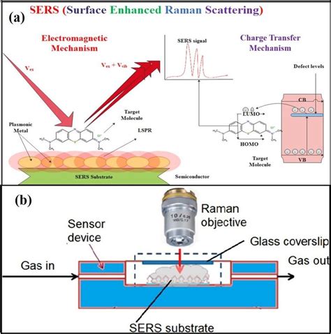 Schematics Of A SERS Mechanism Of Electromagnetic Enhancement And