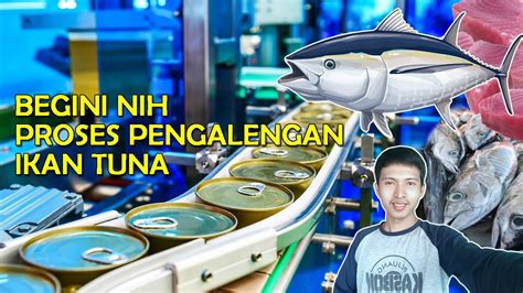 Proses Pengolahan Ikan Tuna Menjadi Ikan Kaleng Youtube