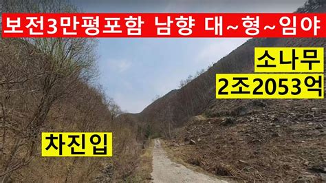 수~십만평 큰~임야 싼임야 보전관리3만평 포장도로 숲~힐링6차산업 숲경영산림경영 약용재배 숲가치2조2549억원 탄소권8435만원