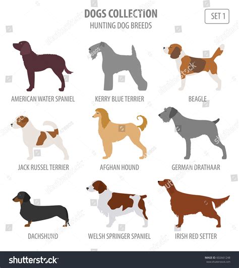 77+ Sims 4 All Dog Breeds With Pictures - l2sanpiero