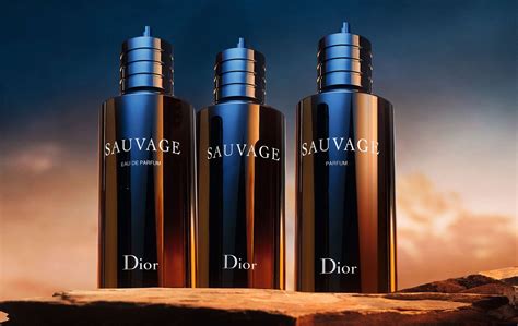 Top Hơn 53 Về Dior Sauvage Refillable Bottle Mới Nhất Vn