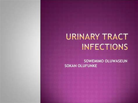 Ppt Urinary Tract Infections Powerpoint Presentation Free Download