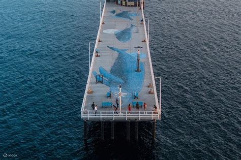 Busselton Jetty Return Train Ride - Klook Australia