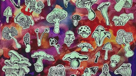 8 Different Strains Of Magic Mushrooms My Supply Co