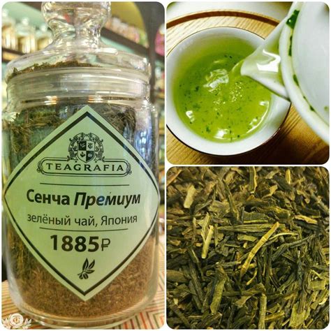 ЧАЙ СЕНЧА Сенча – это сорт зеленого чая, который производят в Японии ...