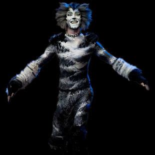 Munkustrap | 'Cats' Musical Wiki | FANDOM powered by Wikia