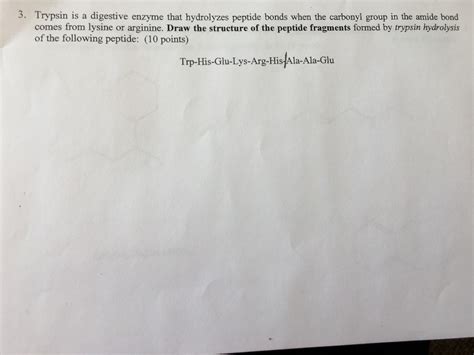 3. Trypsin is a digestive enzyme that hydrolyzes | Chegg.com