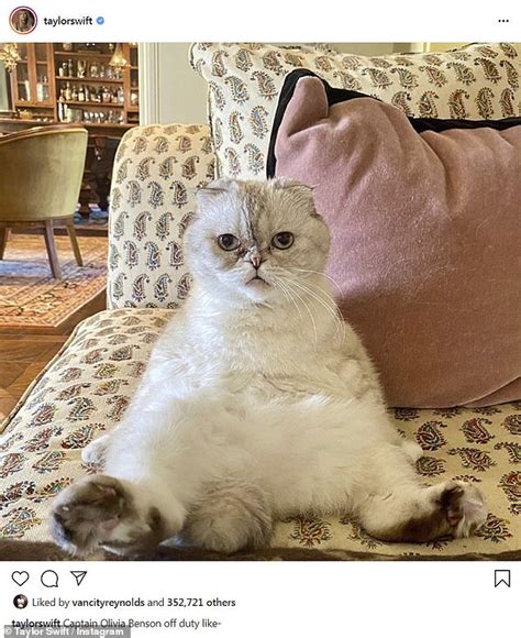 taylor swift shares funny photo   cat olivia benson  instagram