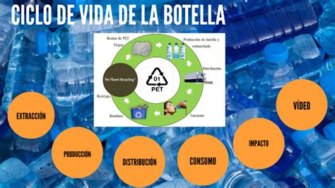 Ciclo De Vida De La Botella By Aldana Merrich On Prezi