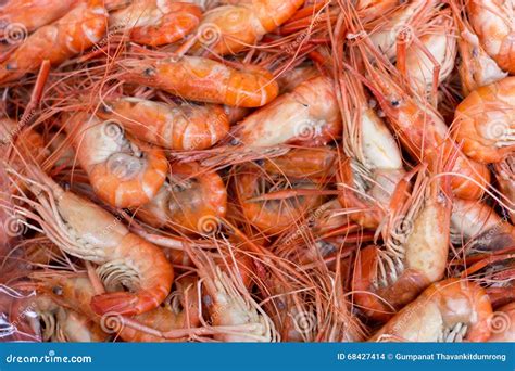 Gamba De Agua Dulce Gigante Hervida Mariscos Foto De Archivo Imagen