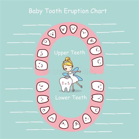 Ada Eruption Chart