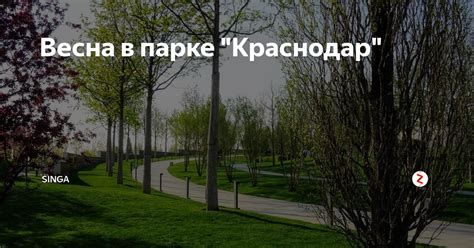 Весна в парке "Краснодар" | singa | Дзен