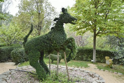 Foto El Bosque Encantado San Mart N De Valdeiglesias Madrid Espa A