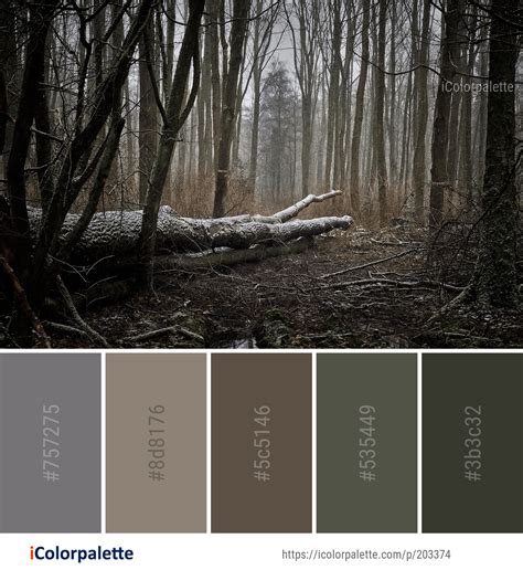 Color Palette Ideas From 4804 Tree Images Icolorpalette Color