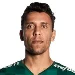 Marcos Luis Rocha Aquino Palmeiras Estat Sticas Gols