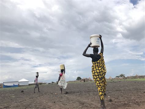 Turning A Dirty Swamp Into Potable Water Saves Thousands Of Displaced