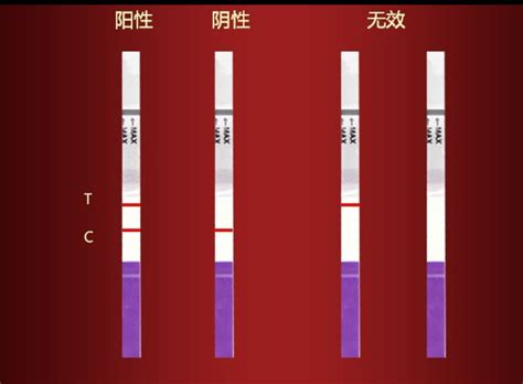 Hiv检测试纸怎么看艾滋病试纸艾测网