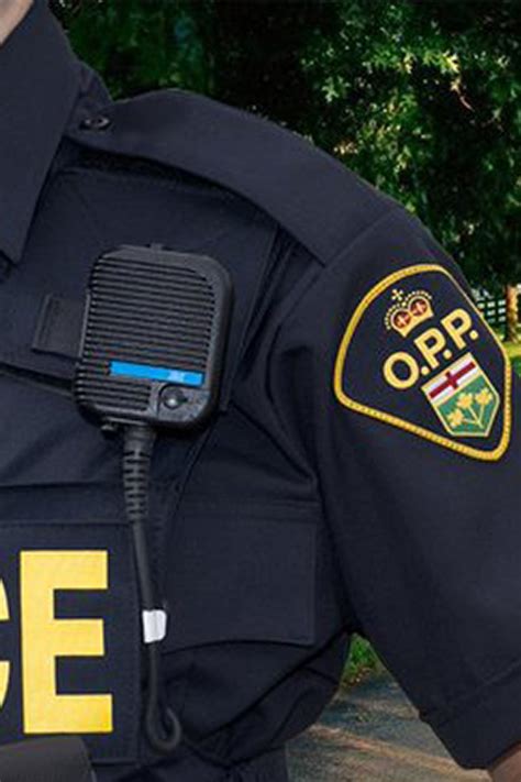 Lambton Man Charged With Assaulting Police Officers The Sarnia Journal