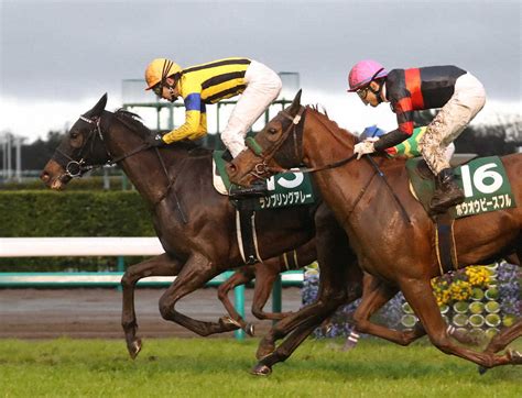 特集（2022年03月12日 中山11r 第40回中山牝馬s） スポニチ競馬web