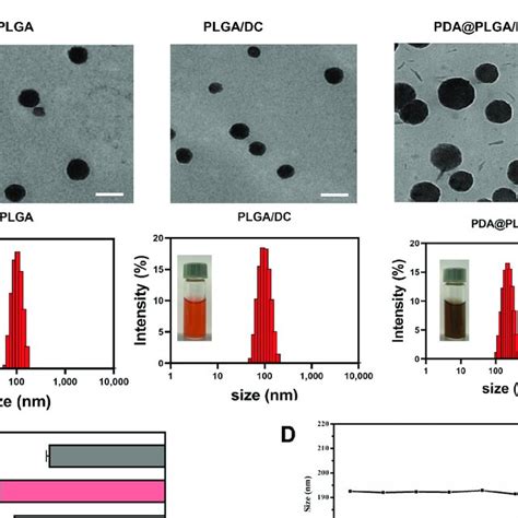 Characterizations Of PDA PLGA DC NPs A TEM The Scale Bar Is 200 Nm