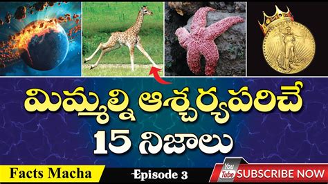 🔰 Top Interesting And Unknown Facts In Telugu Top Most Amazing Facts