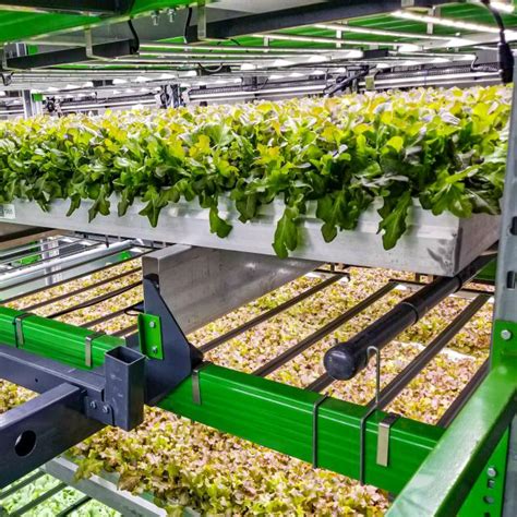 Bowery Farming Opens New Smart Farm | Progressive Grocer