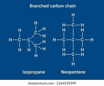 Chemical Structure Branched Carbon Chain Stock Vector (Royalty Free ...