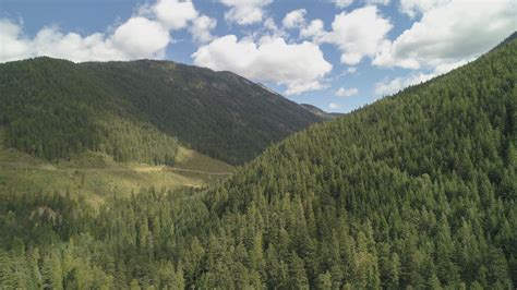 Timber And Recreation Opportunity Sheep Creek Salmo Bc Landquest