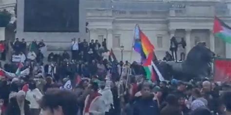 Palestine protest: Fiery debate erupts after Pride flag torn down at pro-Palestine protest