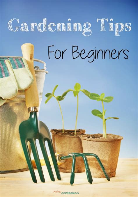 Gardening Tips For Beginners