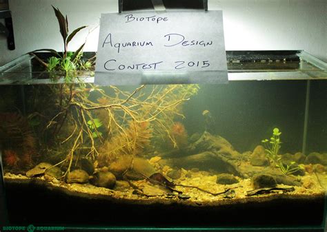 Biotope Aquarium Design Contest 2020. Rules – Biotope Aquarium