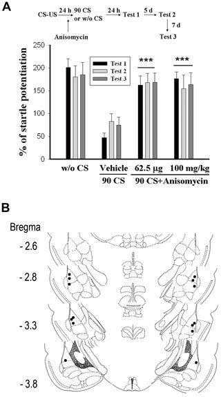 Inhibition Of Spontaneous Recovery Of Fear By Mglur5 After Prolonged