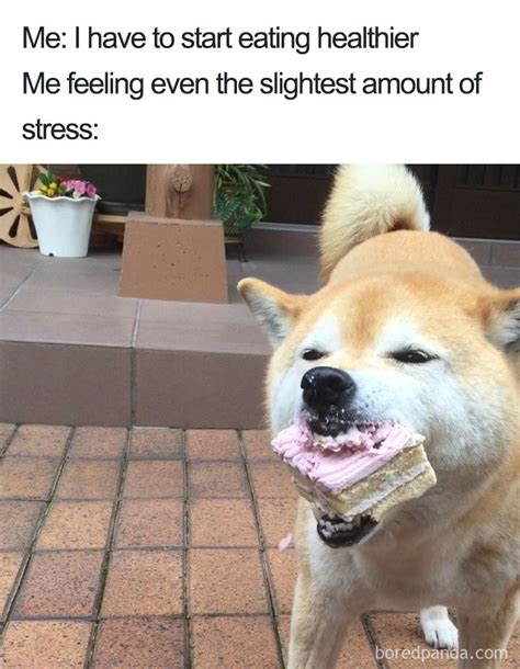 35 Hilarious Food Memes Bored Panda