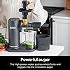 Ninja Jc Neverclog Cold Press Juicer Powerful Slow Juicer With