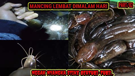 Mancing Lembat Malam Hari Dapat Banyak YouTube