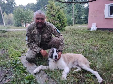107 бригада з Буковини: як тероборонці знищують ворога - Новини АСС