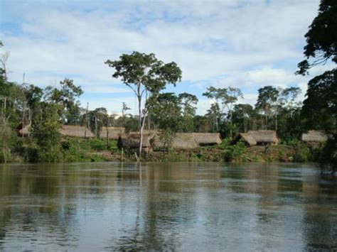 La Tragedia Del Pueblo Yanomami Un Panorama De Emergencia En Venezuela