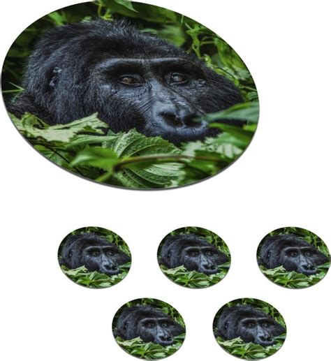 Onderzetters Voor Glazen Rond Gorilla Bladeren Struik 10x10