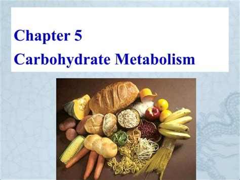 Chapter 5 Carbohydrate Metabolism Ippt