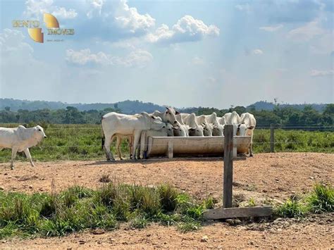 Fazenda Sítio 25000000 m² em Zona Rural em Nova Monte Verde por R 40