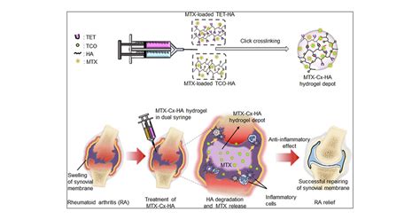 Injectable Click Crosslinked Hyaluronic Acid Depot To Prolong