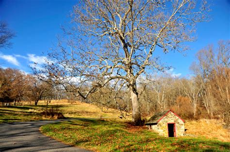 Pic Of The Week Late Autumn Sky Chadds Ford Live Chadds Ford Live