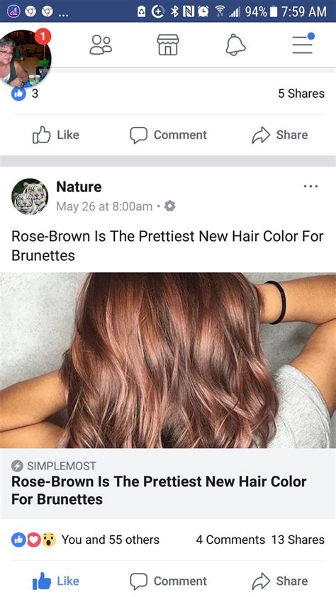 Rose Brown Hair Color | Brunette hair color, New hair colors, Hair color