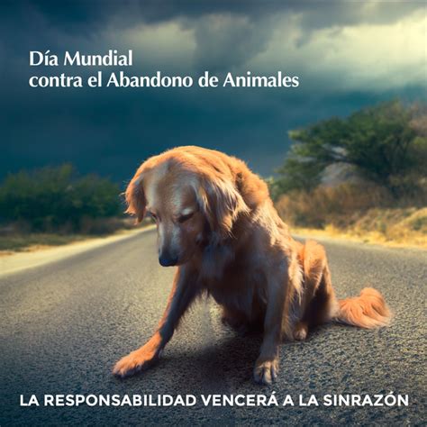 Día Mundial Contra El Abandono De Animales