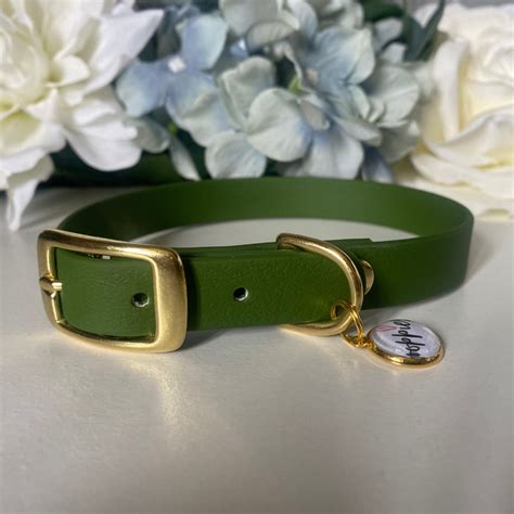 Green Dog Collar - Etsy