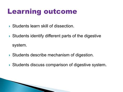 Digestive system of cockroach | PPT