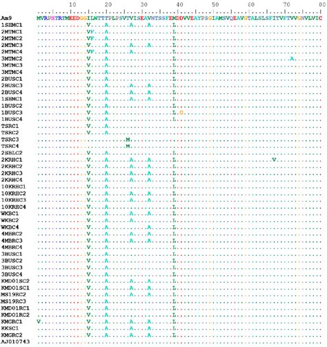 Multiple sequence alignment of deduced amino acid sequence for R. (B ...