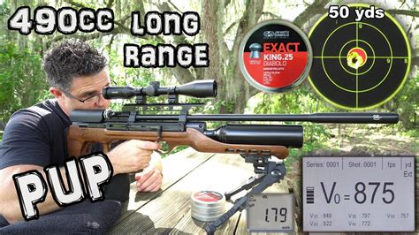 Hatsan AirMax 25 Air Rifle 50 100 Yard Accuracy TEST FULL REVIEW